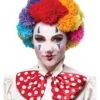 Clown Woll-Perücke Bunt