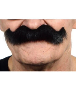 Friedrich Wilhelm Schnauzer Schwarz