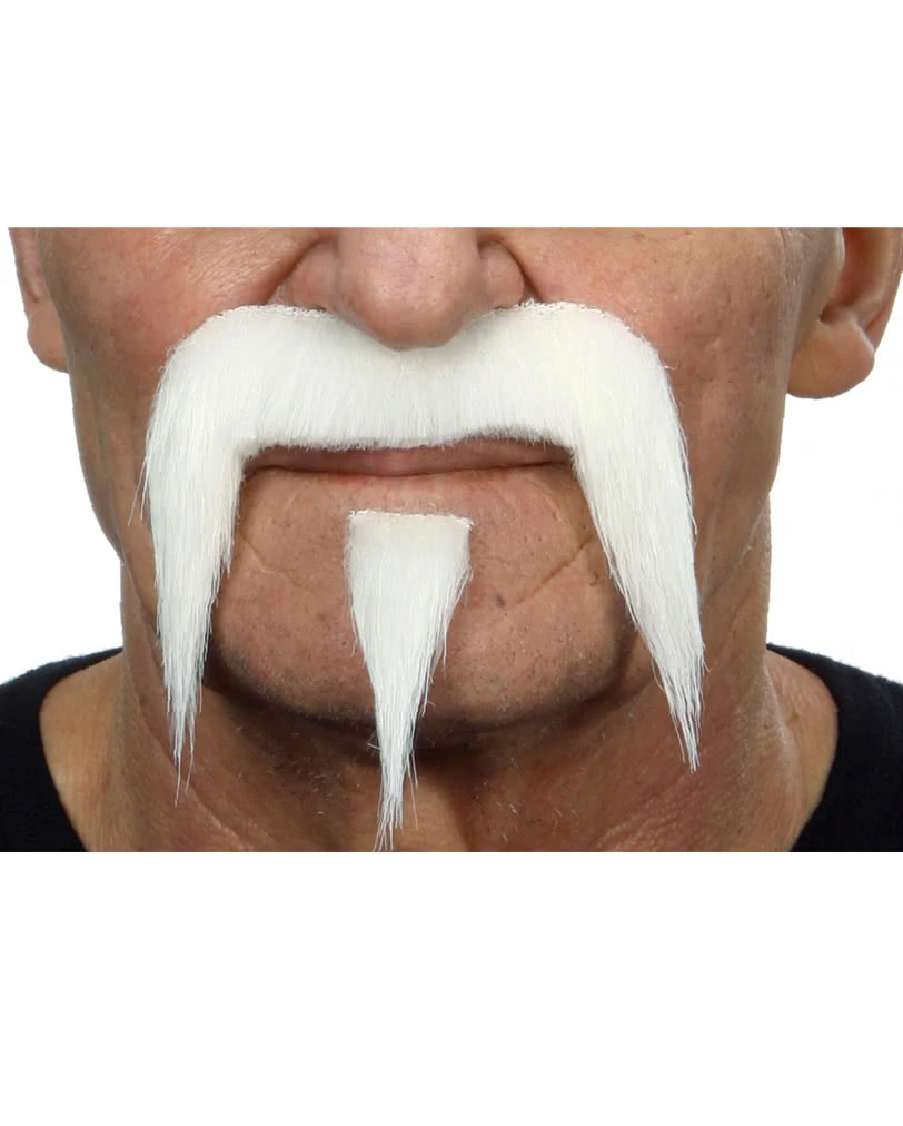 Weißer D´Artagnan Bart 1 Weißer D´Artagnan Bart