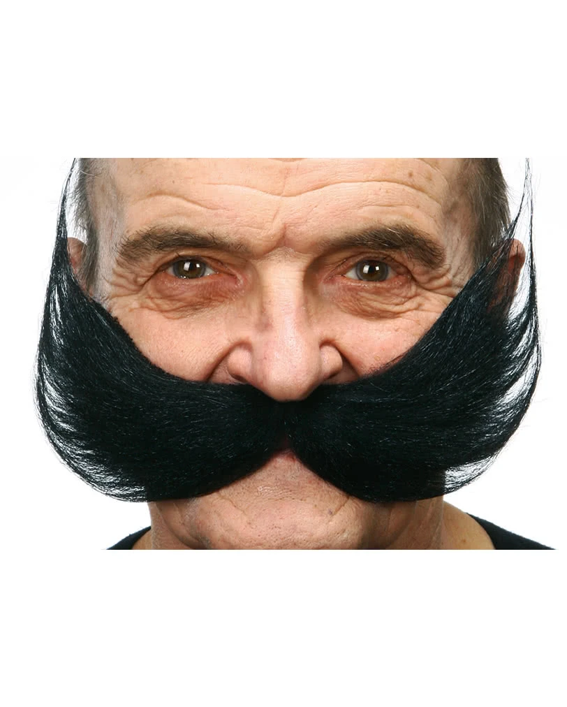 Schwarzer XXL Schnauzer 1 Schwarzer XXL Schnauzer